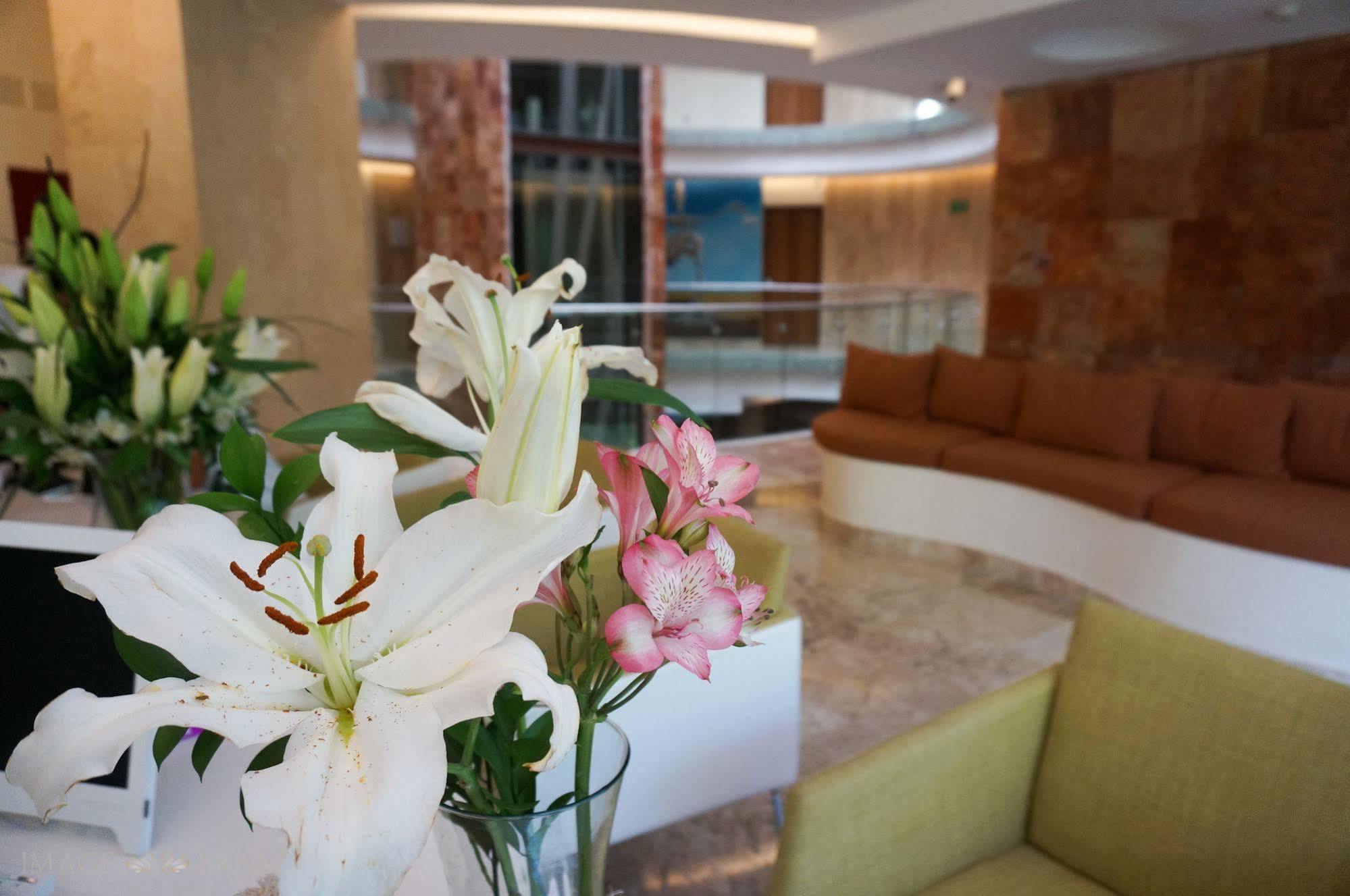 Senses Quinta Avenida Adults Only By Artisan 4* Playa del Carmen